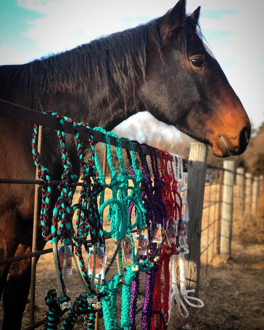 Cowboy Mule Tape Halters